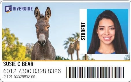 Front R'Card Example
