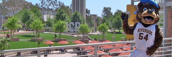 USC-Mascot
