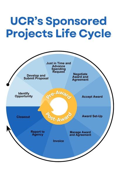 c&g life cycle