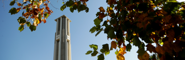 Looking up at Bell Tower through the trees (c) UCR/Stan Lim