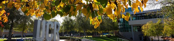 UCR sign and fall leaves (c) UCR/Stan Lim